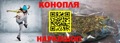 прущие крисы Новозыбков